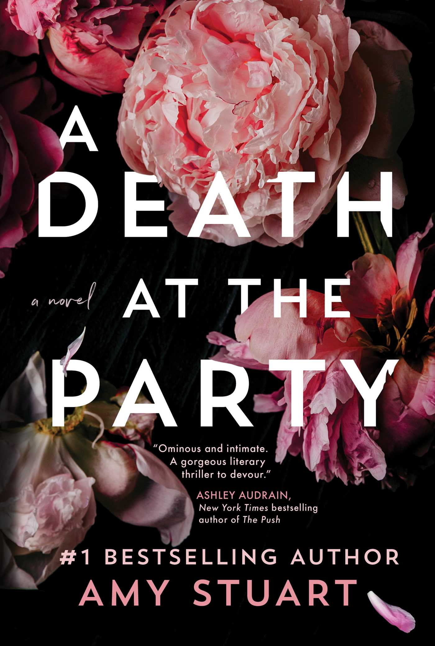 Post: A Death at the Party By Amy StuartReview