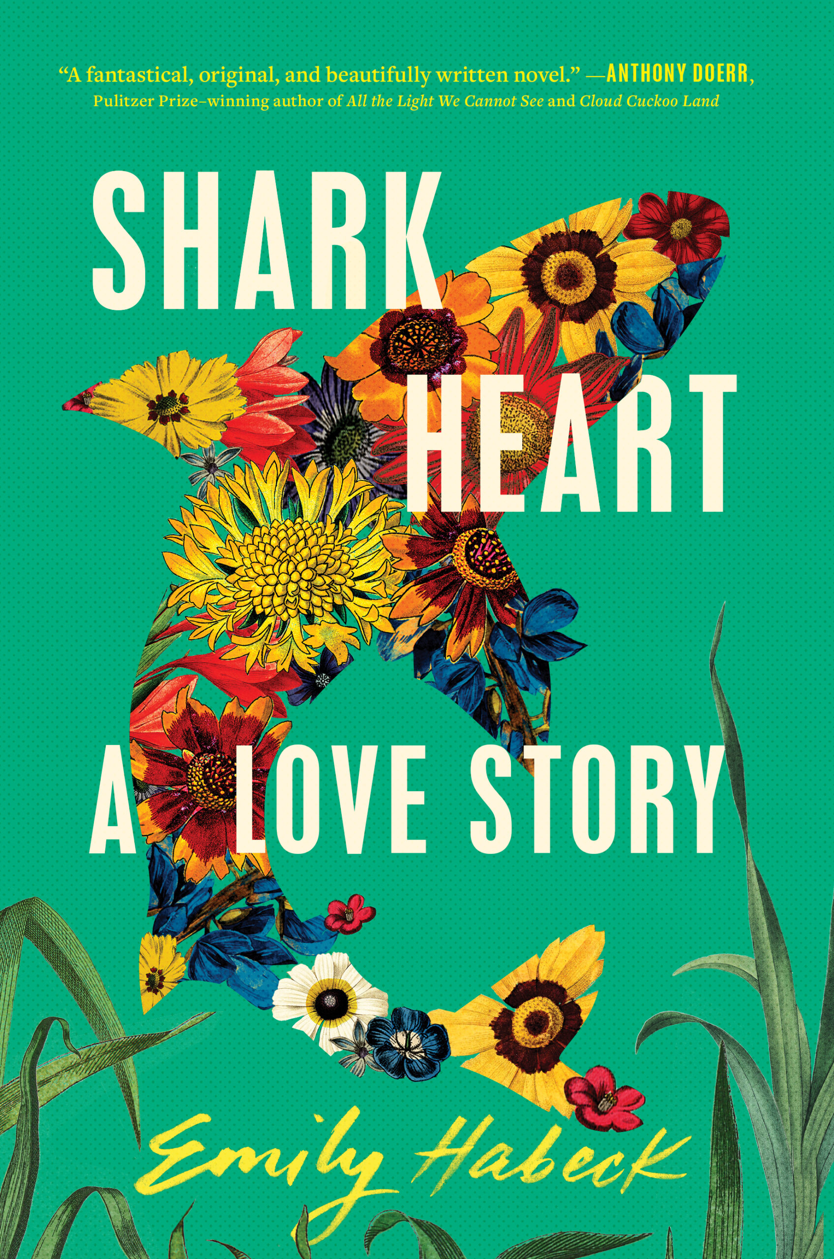 Post: Shark Heart By Emily HabeckReview